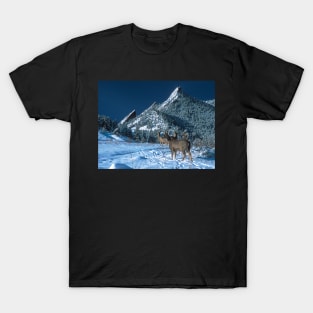 The Flatirons And Deer T-Shirt